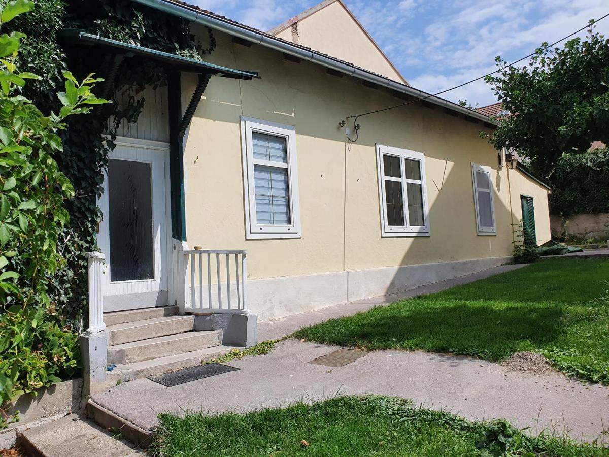 Charmantes Haus Mit Terrasse Und Grossem Garten Langenzersdorf Екстериор снимка